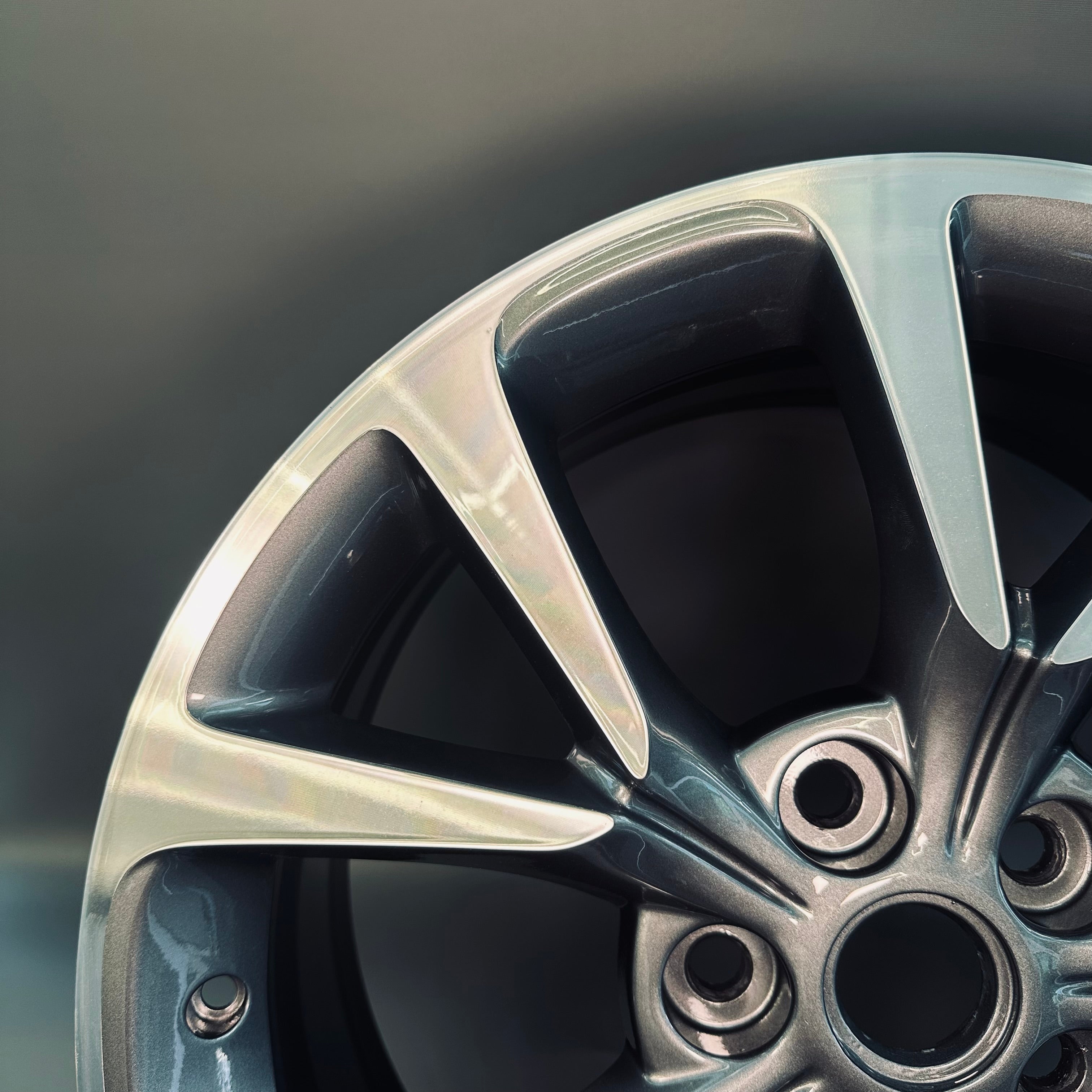 Holden Commodore VE 19" Rim