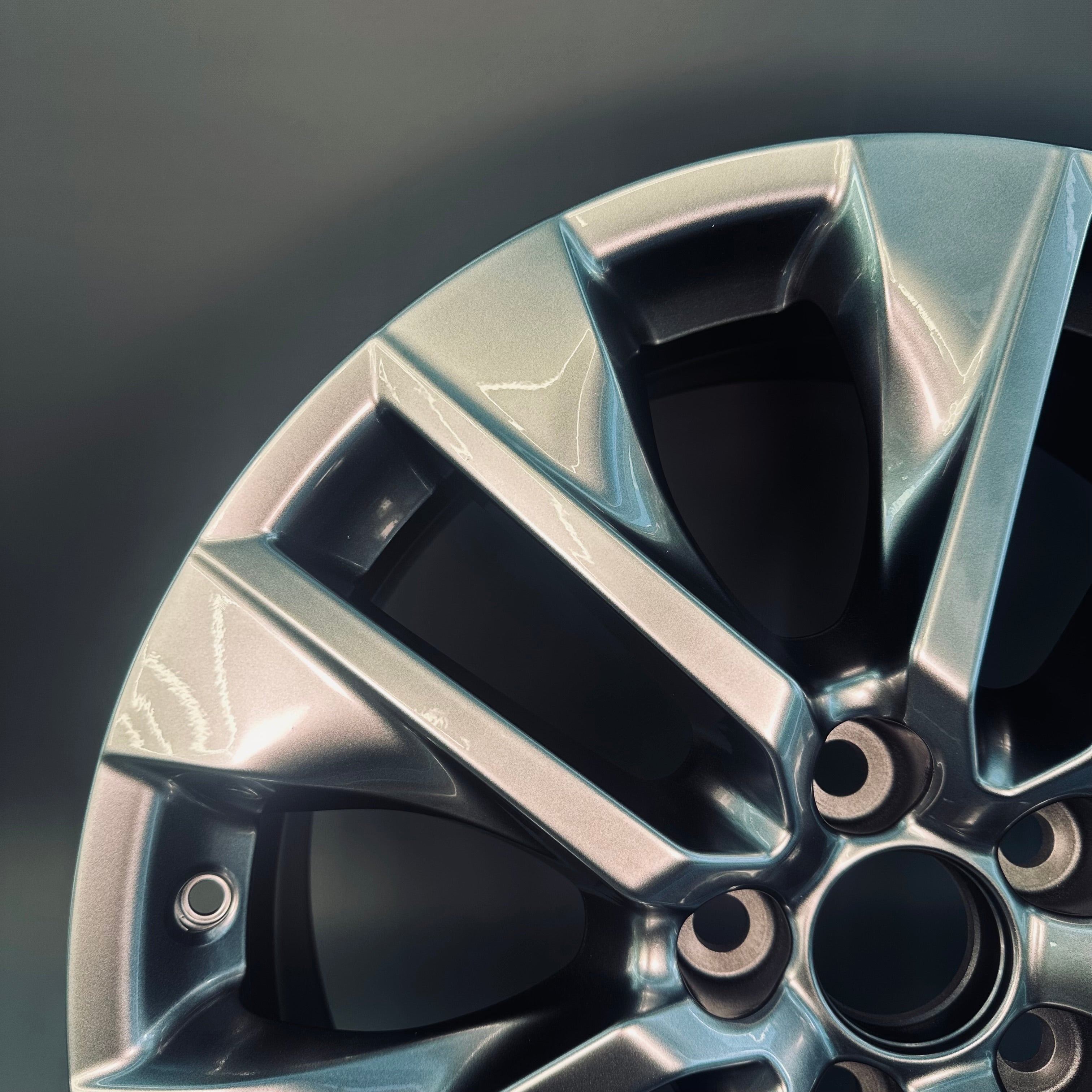 Toyota RAV4 19" Rim